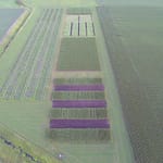DEMONSTRATION PLOT